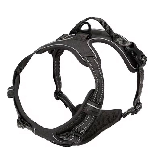 Oxford Harness for Pets