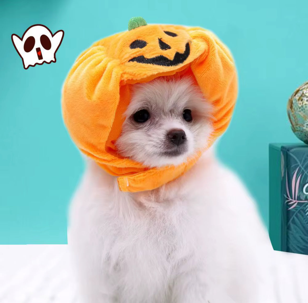 Halloween Pumpkin Hat for Pets
