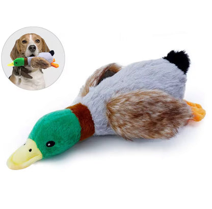 Wild Duck Plush Toy for Pets
