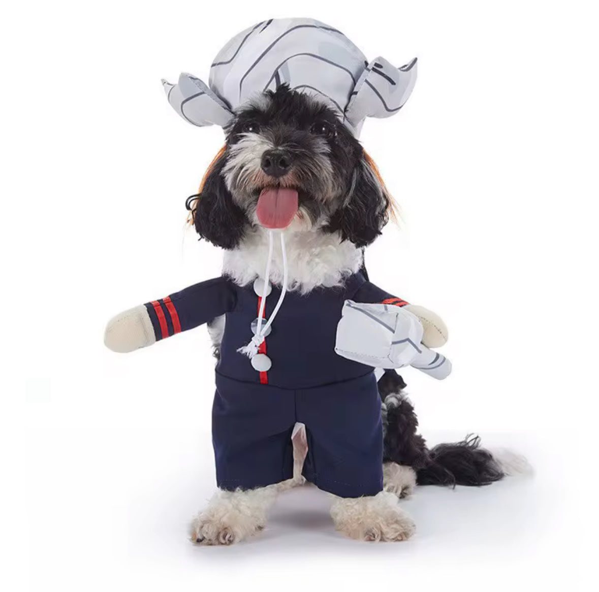 Halloween Captain Costume for Pets