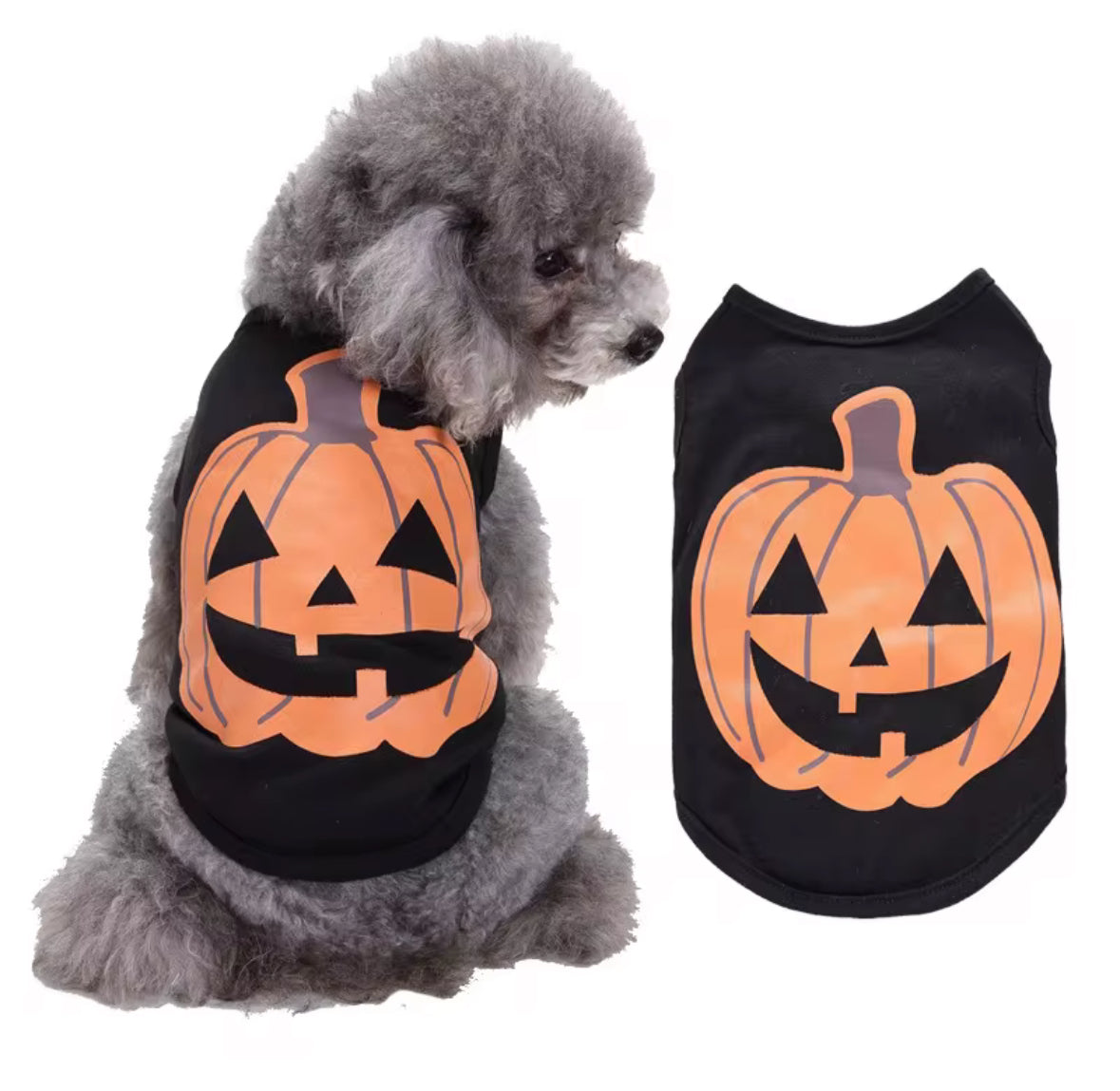 Halloween Outfit for Small Pets Happy Pumpkin Design