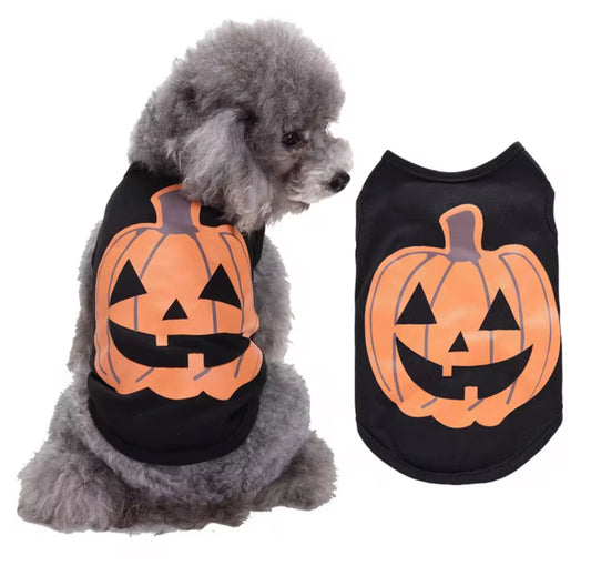 Halloween Outfit for Small Pets Happy Pumpkin Design