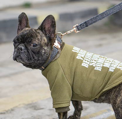 PetStock Luxury Rose Metal Dog Collar and Lead with High-End Woollen Material