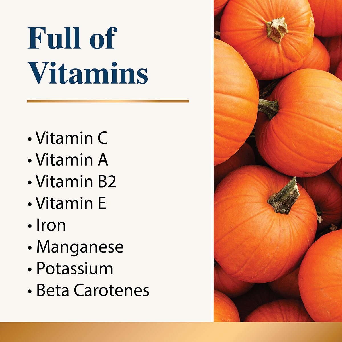 Pumpkin Powder - 200g