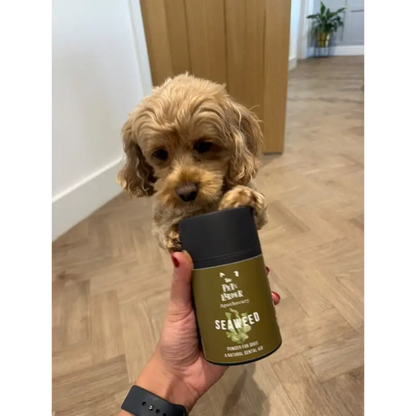 Dental Seaweed for Dogs: Plaque Removal