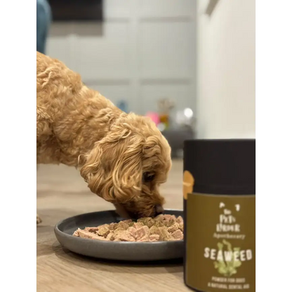 Dental Seaweed for Dogs: Plaque Removal