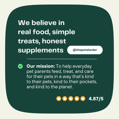 Dental Seaweed for Dogs: Plaque Removal