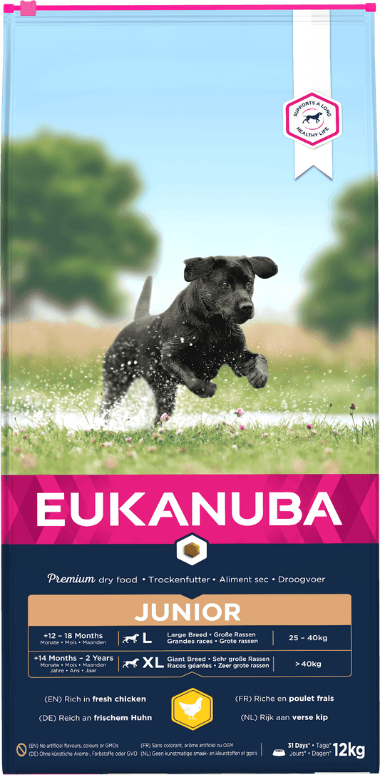 Eukanuba Junior Lrg Breed Chicken