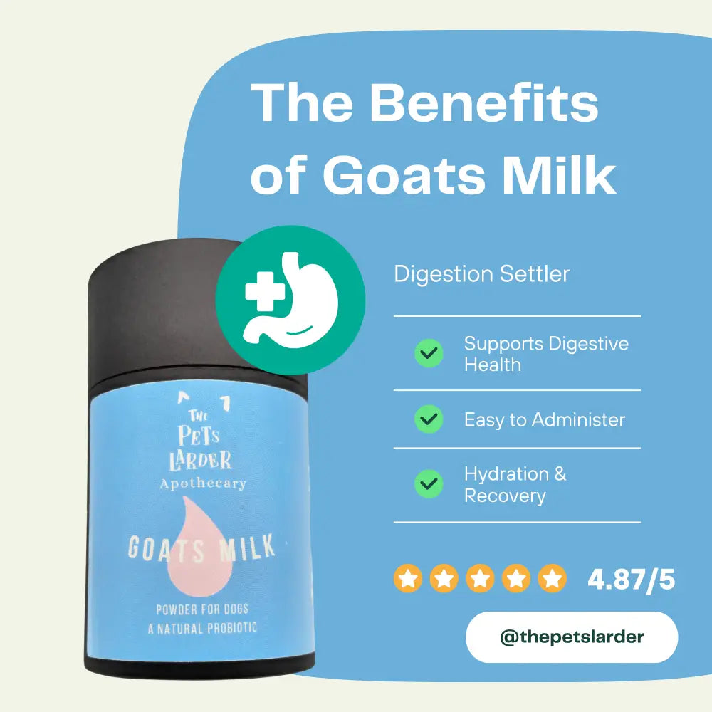 Goats Milk Powder for Dogs A Natural Probiotic