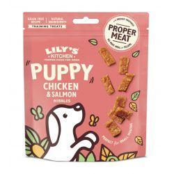 Lily's Kitchen Puppy Treats Chicken & Salmon, 70g