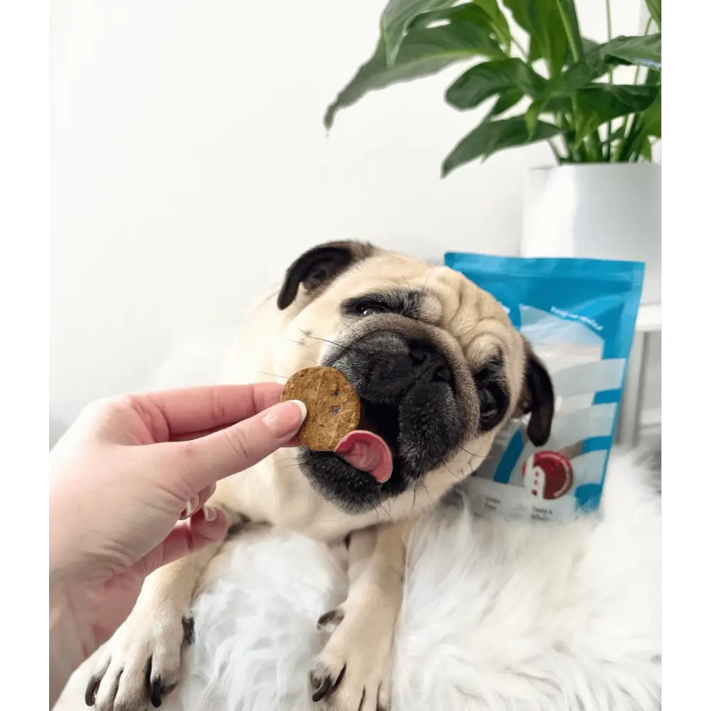 Natural Cornish Whitefish & Potato Cookies